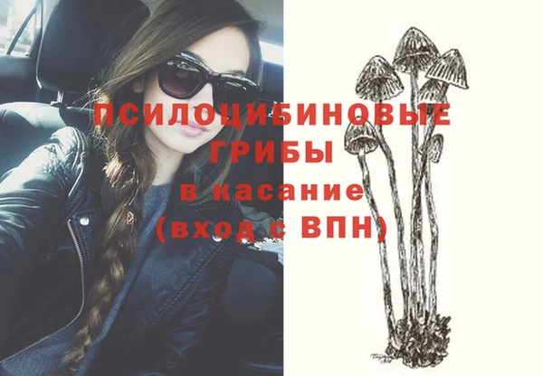 бошки Богородск