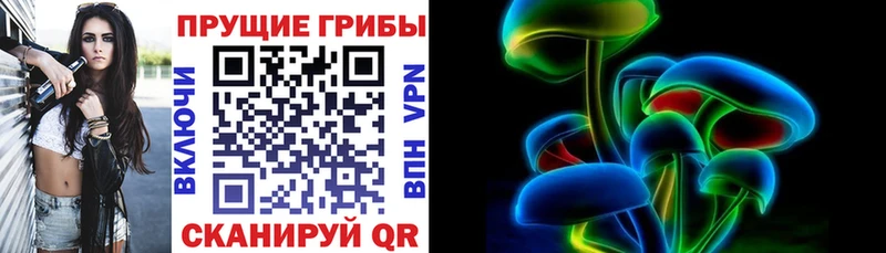 Псилоцибиновые грибы Psilocybe  Вуктыл 
